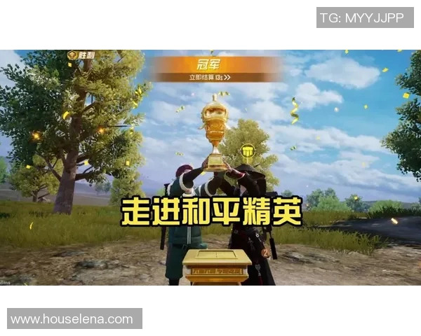 深度对话：探索陈娜在和平精英中的成长与挑战之路